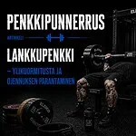 Lankkupenkki lankkupenkki