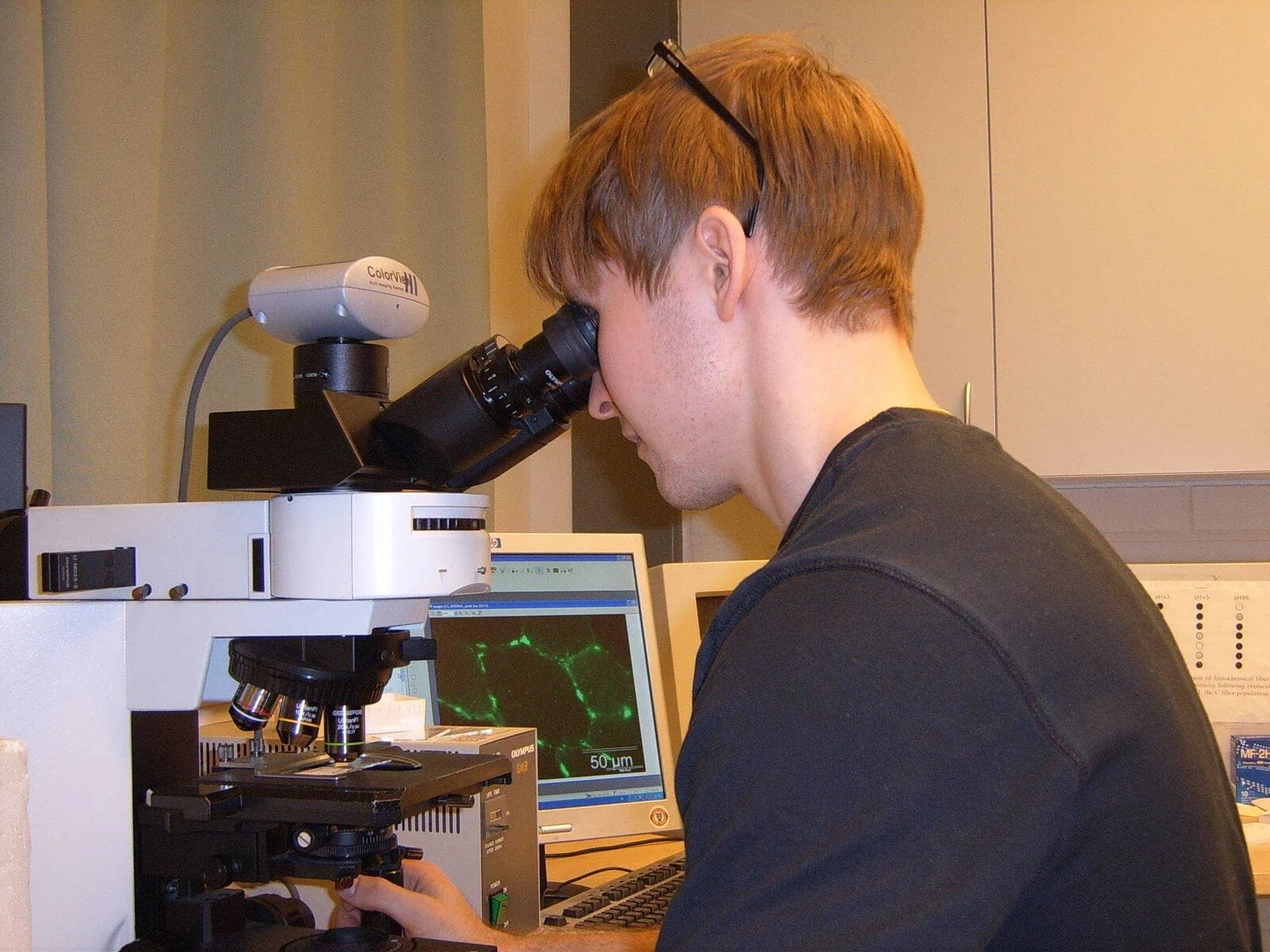 Juha Hulmi - Voimaileva tutkija 2 lihassolujen tutkimista