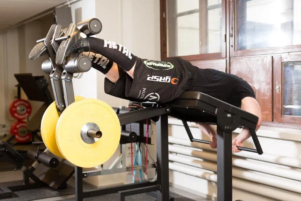 Reverse hyper extension, osa 2 4 reverse hyper extension osa 2