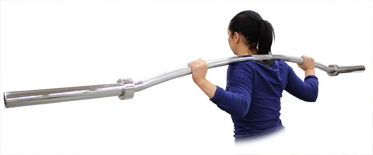 SK Bow bar 1 skbowbar1 1